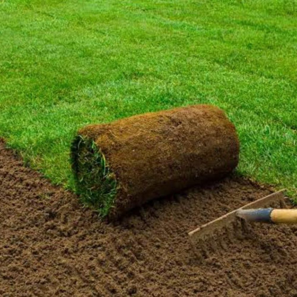 Turf Installation in Sydney